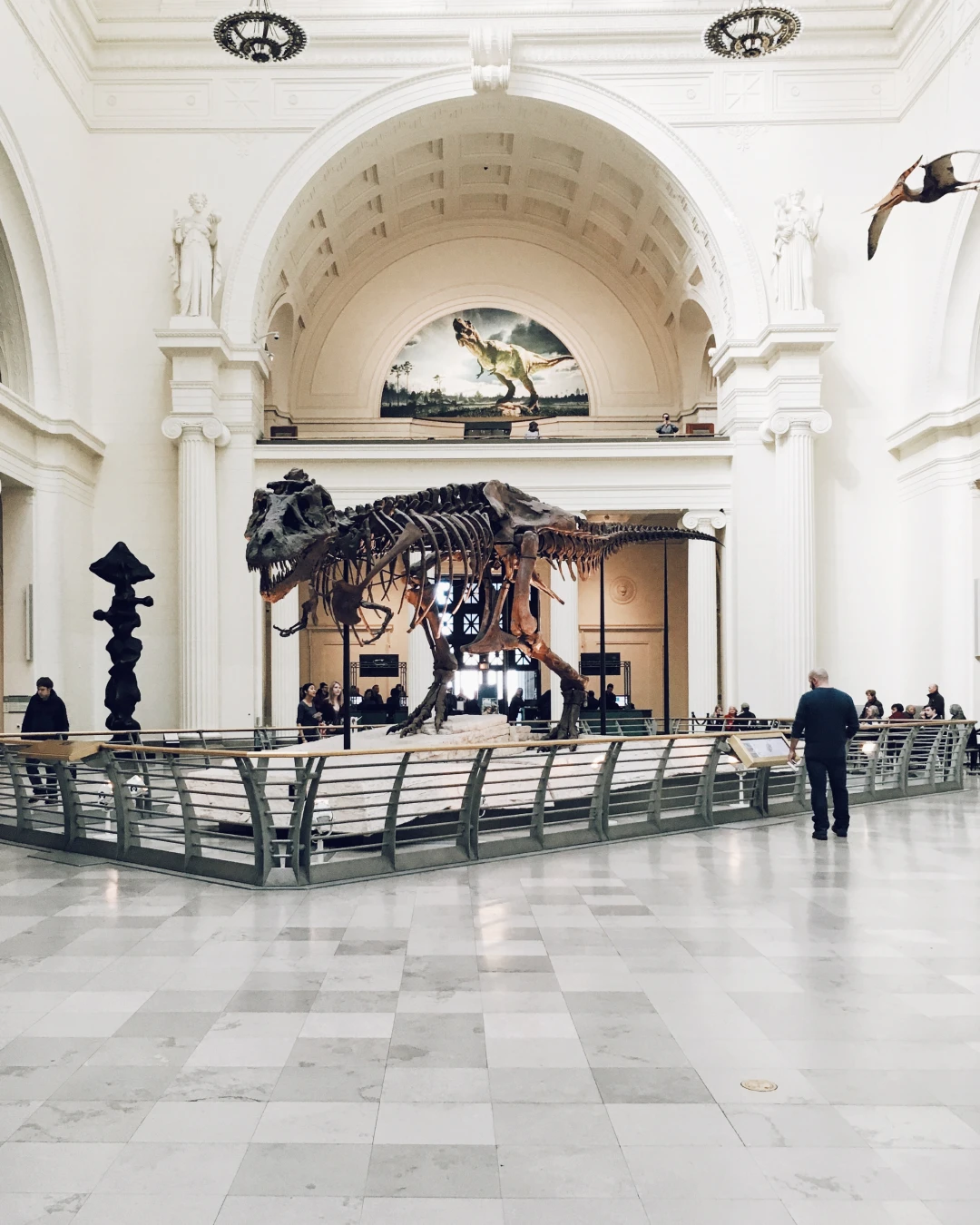 museum dinosaur skeleton at a museum