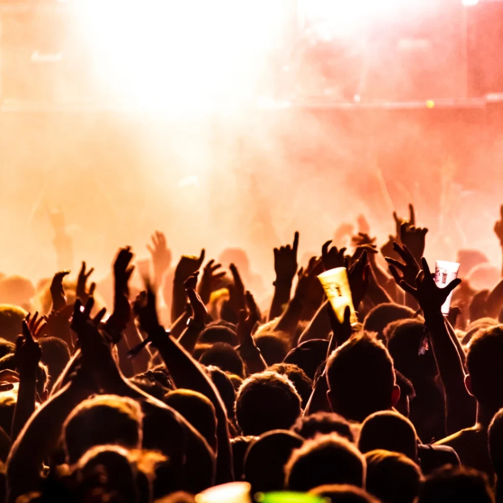 Crowd at a music festival