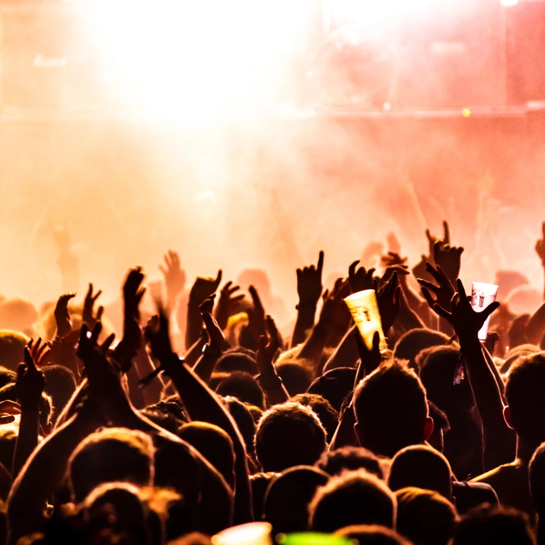 music-festival Crowd at a music festival