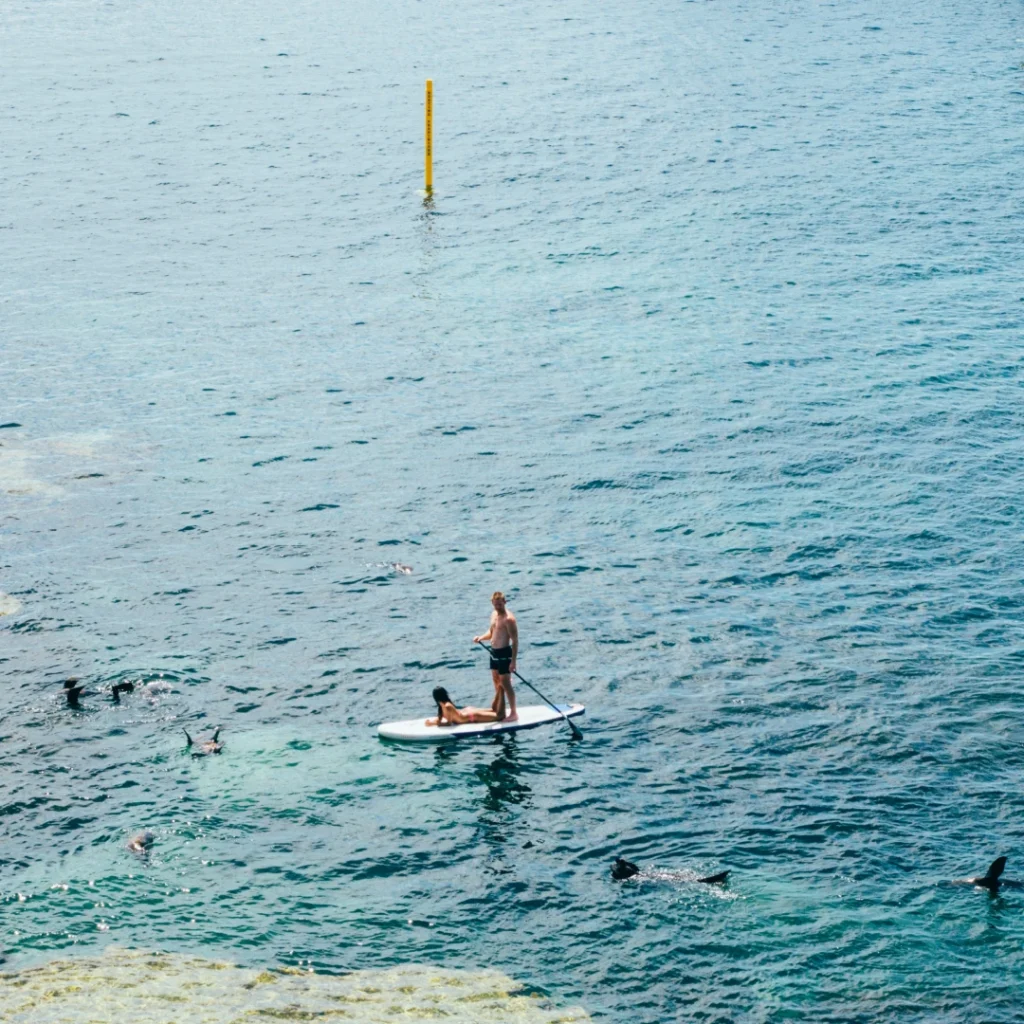 Paddleboarding