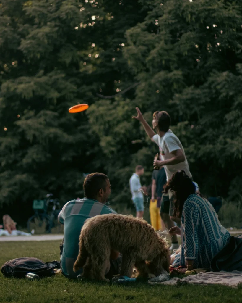Couple with dog enjoying picnic in park, man playing frisbee behind them